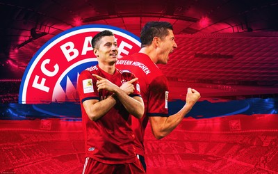 海德电竞快讯-加拿大拳王卫冕战被一拳KO