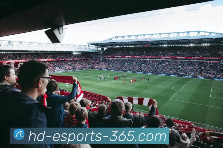 App Interface Preview