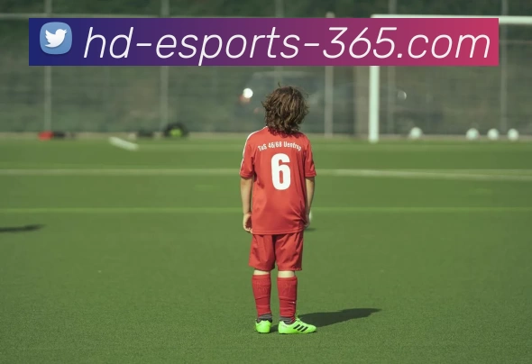 海德电竞365APP 封面图